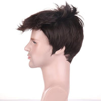 
              BERON Brown Short Wigs for Men Straight Brown Cool Man Hair Wig for Boys Synthetic Halloween Costume Cosplay Party Wigs
            