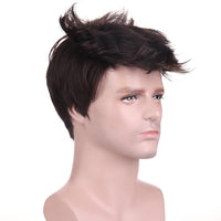 
              BERON Brown Short Wigs for Men Straight Brown Cool Man Hair Wig for Boys Synthetic Halloween Costume Cosplay Party Wigs
            