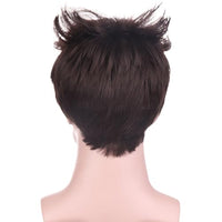 
              BERON Brown Short Wigs for Men Straight Brown Cool Man Hair Wig for Boys Synthetic Halloween Costume Cosplay Party Wigs
            