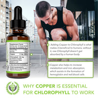 
              Benevolent Chlorophyll Liquid Drops, 4 Month Supply Liquid Chlorophyll Supplement for Internal Deodorizer & Radiant Skin, Potent Chlorophyll Liquid Extract with Rich Antioxidants, Minty Flavor
            