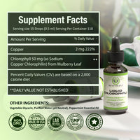 
              Benevolent Chlorophyll Liquid Drops, 4 Month Supply Liquid Chlorophyll Supplement for Internal Deodorizer & Radiant Skin, Potent Chlorophyll Liquid Extract with Rich Antioxidants, Minty Flavor
            