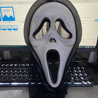 Fun World Adult Scream Mask