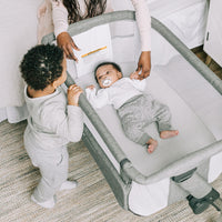 
              Baby Delight Beside Me Dreamer Bassinet | Bedside Sleeper | 6-Position Height Adjustment | Charcoal Tweed
            